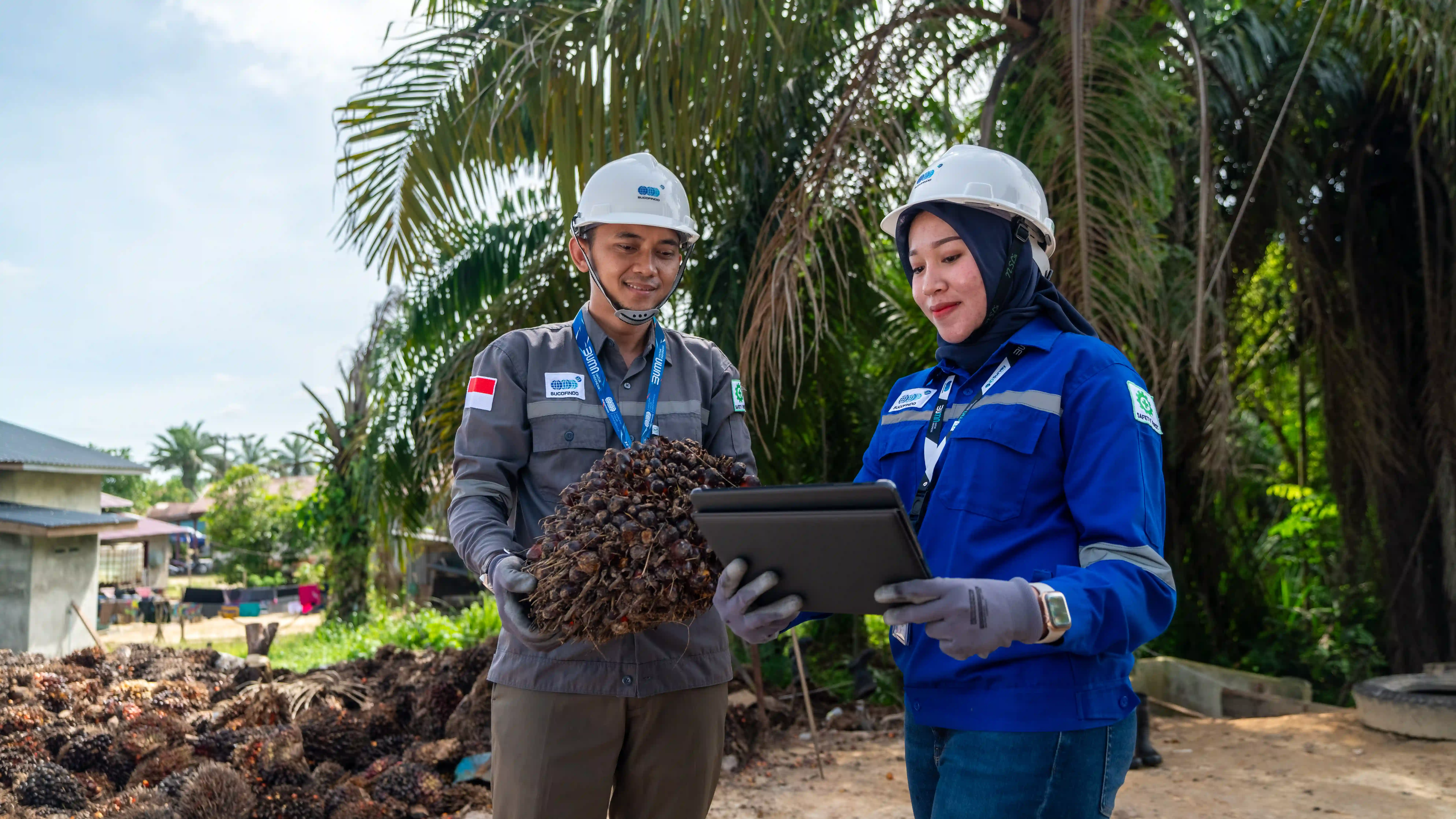 AGRICULTURE & FORESTRY